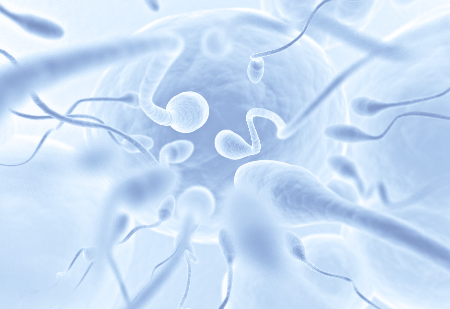 Begleitung bei IVF